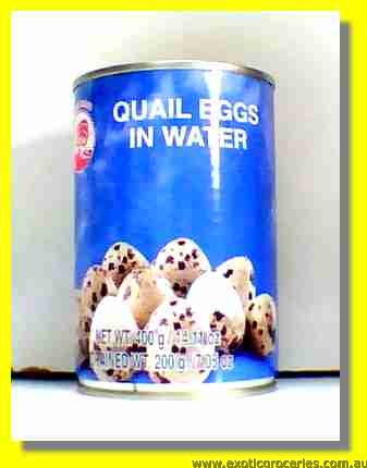 Quail Eggs in Water