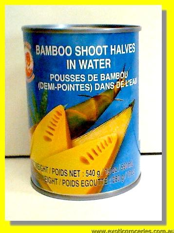Bamboo Shoots Half in Water