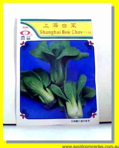 Shanghai Bok Choy Seed 1110