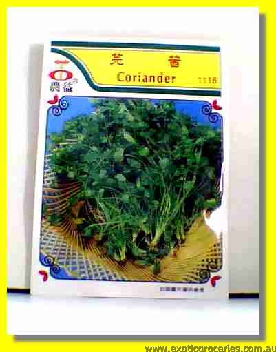 Coriander Seed 1116