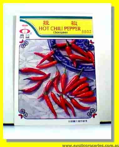 Hot Chilli Pepper Seed 5502