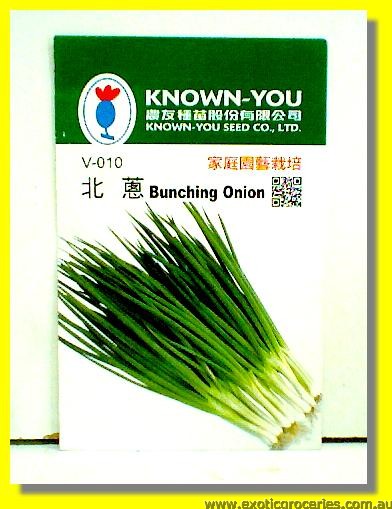 Bunching Onion V-010