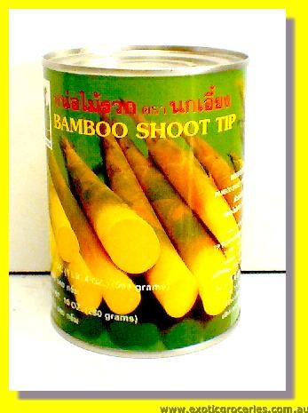 Bamboo Shoot TIP