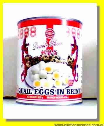 Quail Eggs in Brine 50pcs