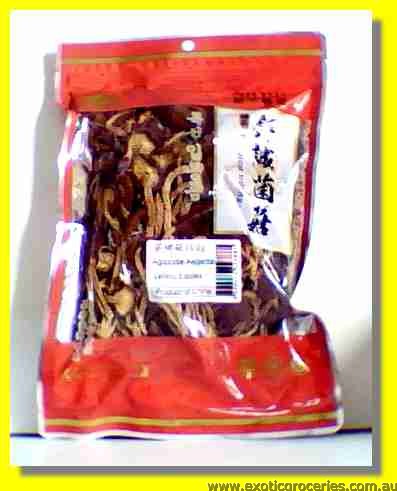 Agrocybe Aegerita (Tea Tree Mushroom)