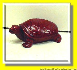 Red Lucky Turtle