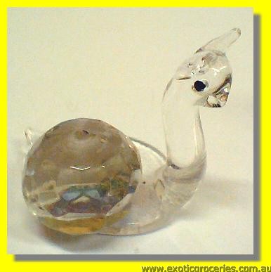 Crystal Snail