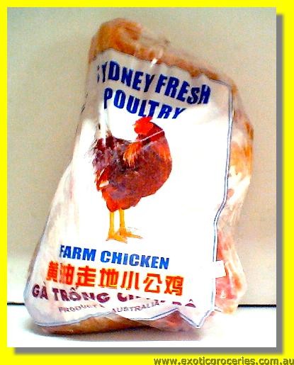 Frozen Yellow Chicken Whole (Cage Free Farm Chicken Rooster)